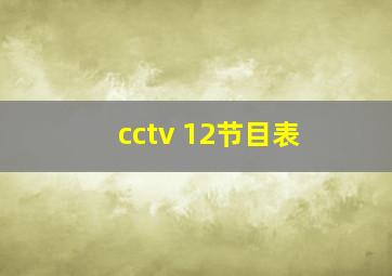 cctv 12节目表